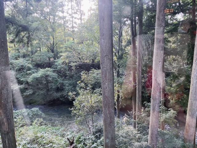 瀬々らぎの森　温泉カフェから見える絶景